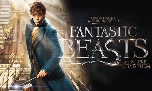 Bildresultat för fantastic beasts and where to find them